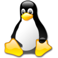 Linux image